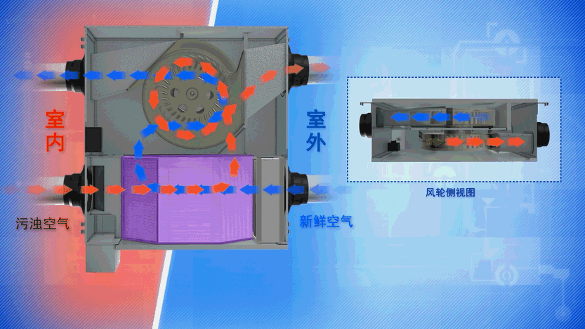 1647926654188494.gif